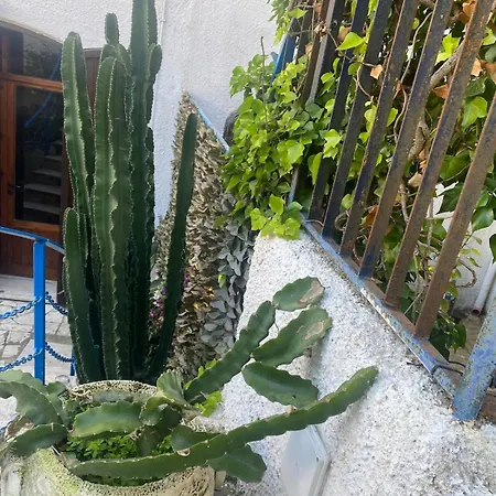 Casa Roselle Daire Santa Marinella